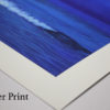 St. Augustine - Fine Art Print - Image 8